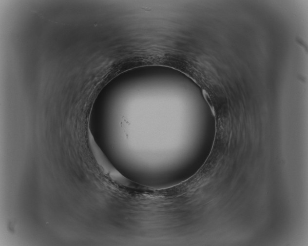 X0000091711057200708311111