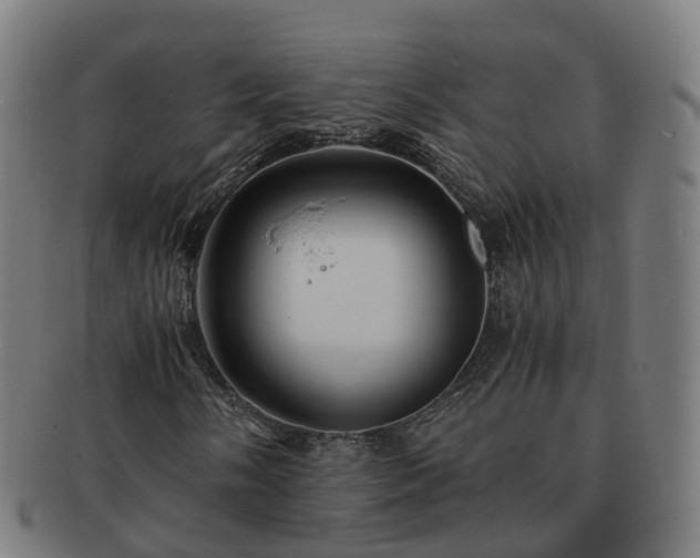 X0000091711058200708311111