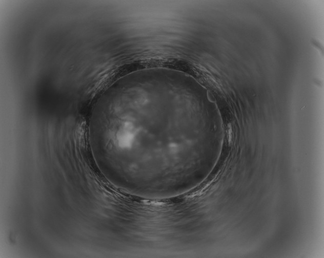 X0000091711059200708311111