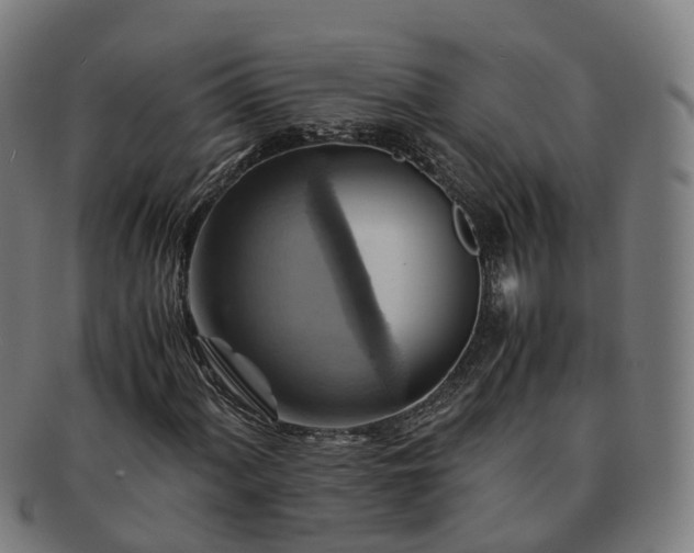 X0000091711060200708311111