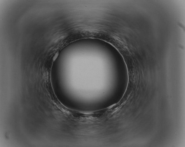 X0000091711061200708311111