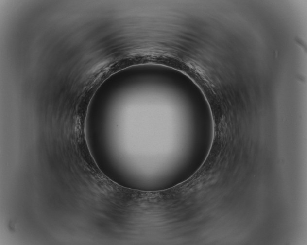 X0000091711062200708311111