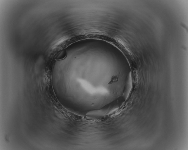 X0000091711063200708311111