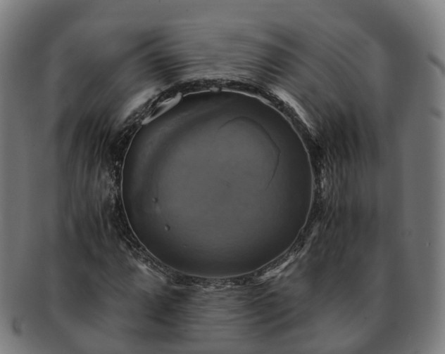 X0000091711064200708311111