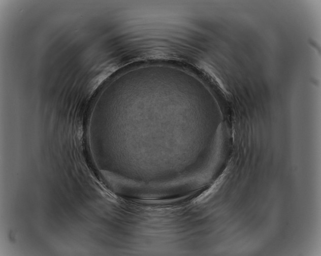 X0000091711065200708311111