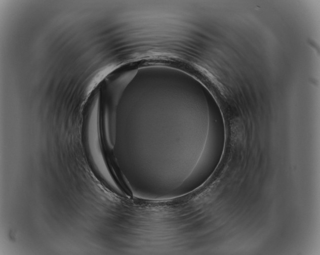 X0000091711066200708311111