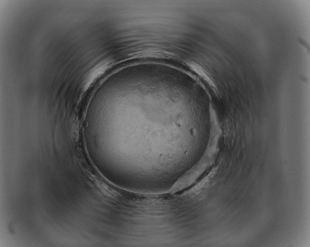 X0000091711067200708311111