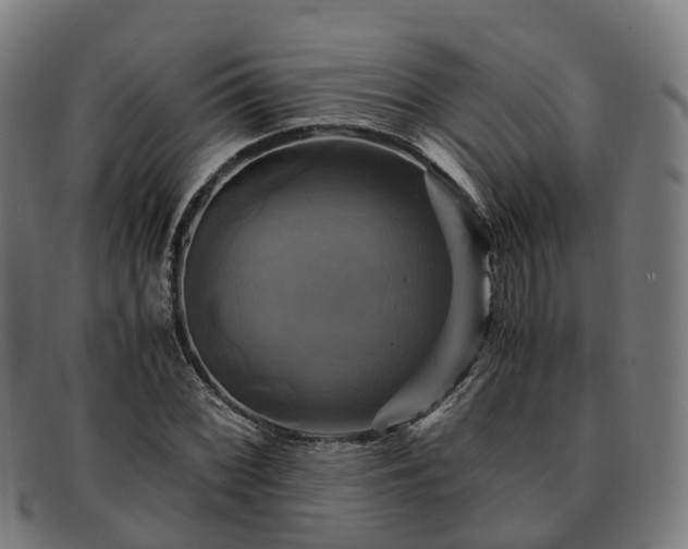 X0000091711068200708311111