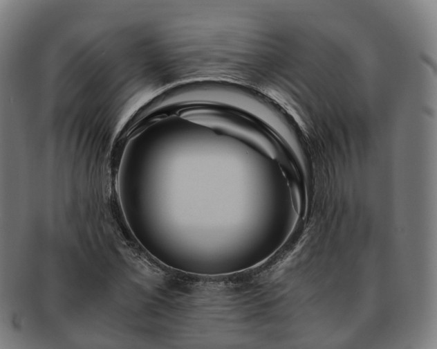 X0000091711069200708311111