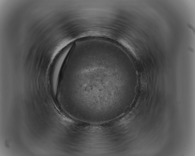 X0000091711070200708311111