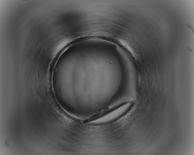 X0000091711071200708311111