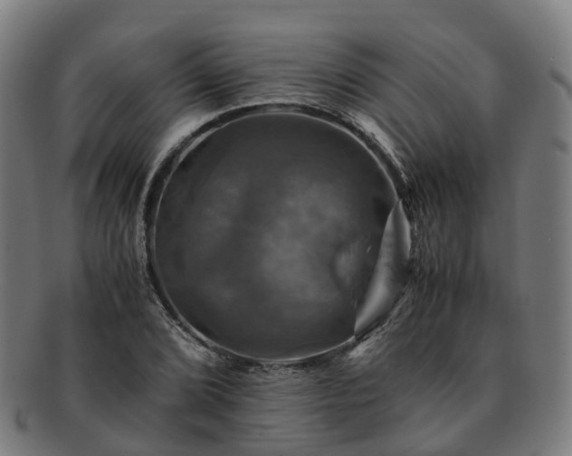 X0000091711072200708311111