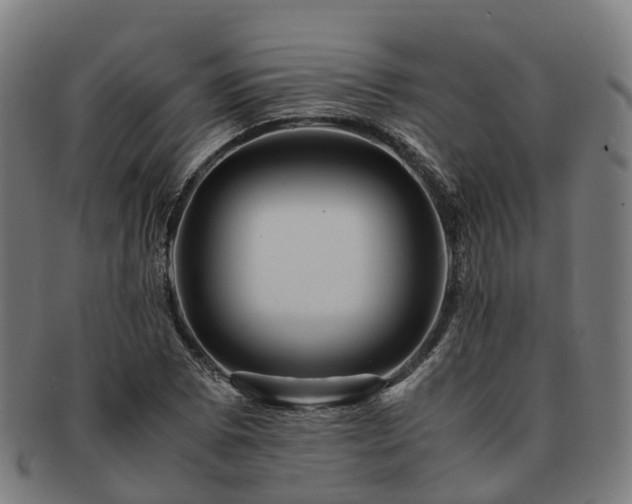 X0000091711073200708311111