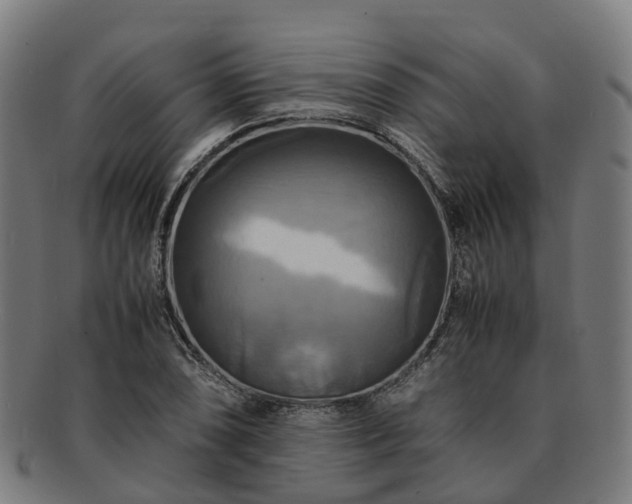 X0000091711074200708311111