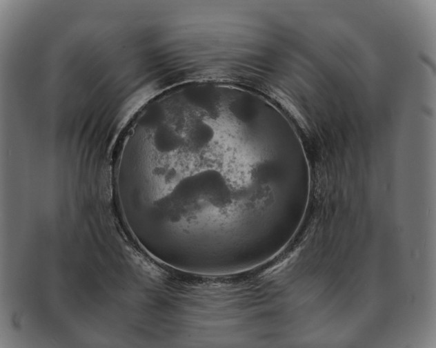 X0000091711075200708311111