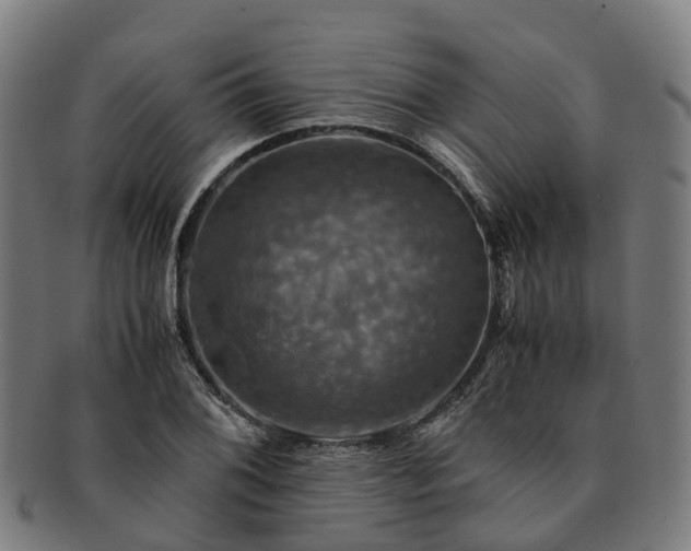 X0000091711076200708311111