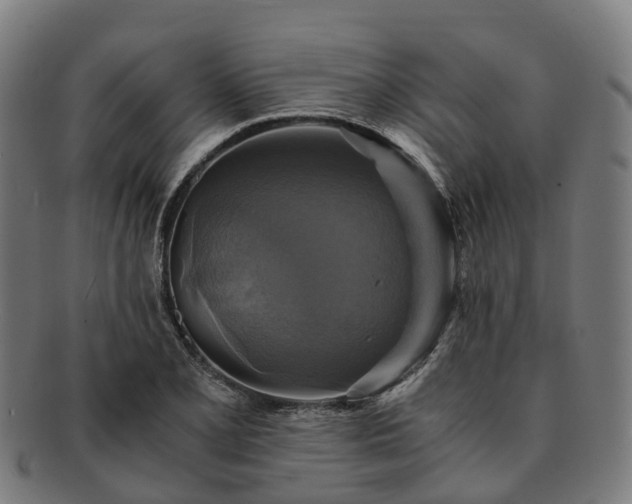 X0000091711077200708311111