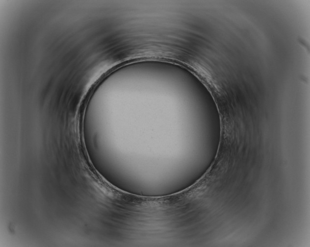 X0000091711078200708311111