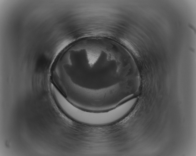 X0000091711079200708311111