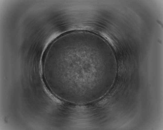 X0000091711080200708311111