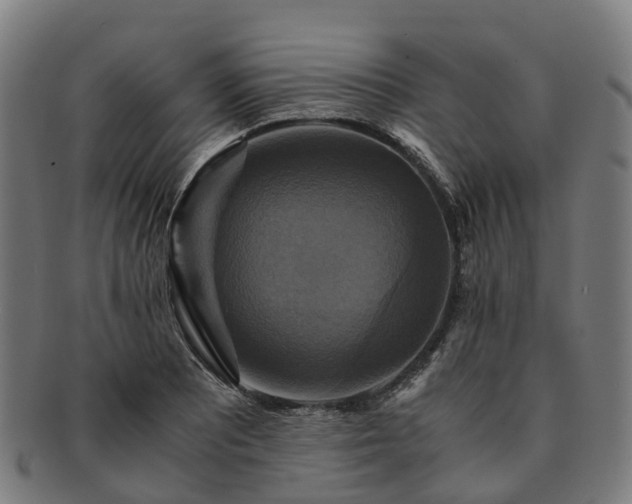 X0000091711081200708311111