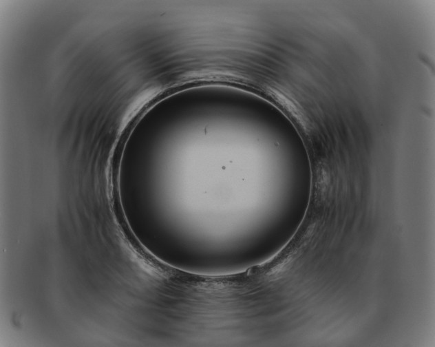 X0000091711082200708311110