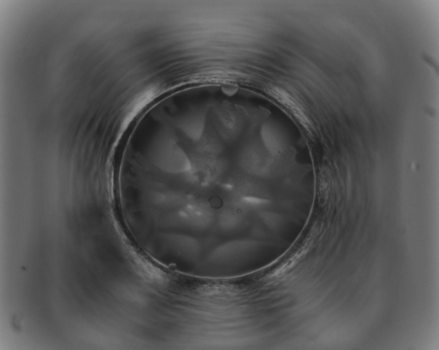 X0000091711083200708311110