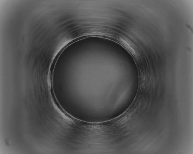 X0000091711084200708311110