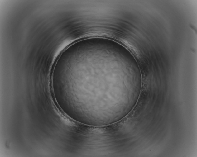 X0000091711086200708311110