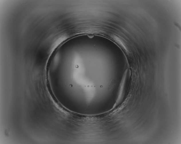 X0000091711087200708311110