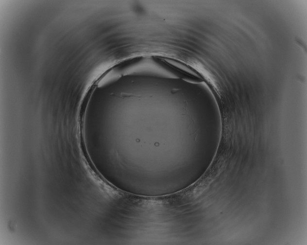 X0000091711088200708311110