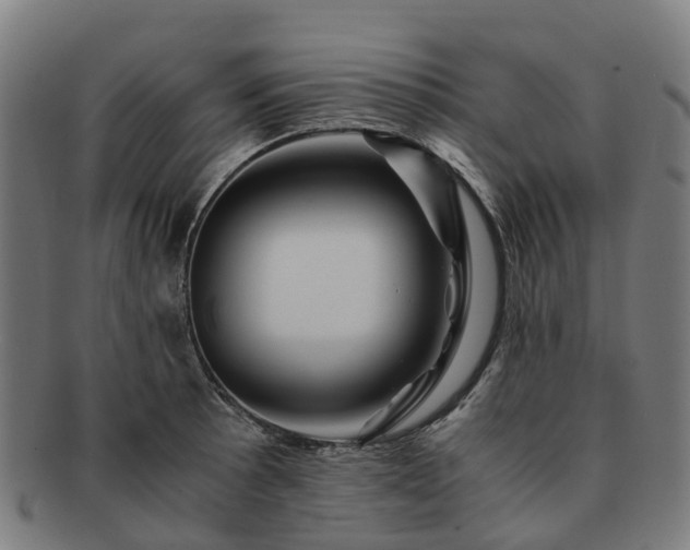 X0000091711089200708311110