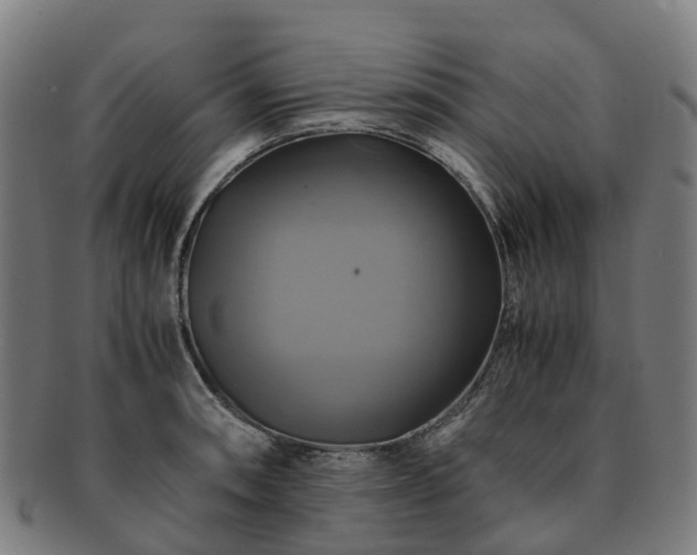 X0000091711090200708311110