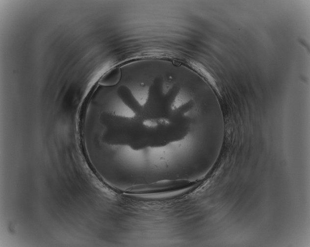 X0000091711091200708311110