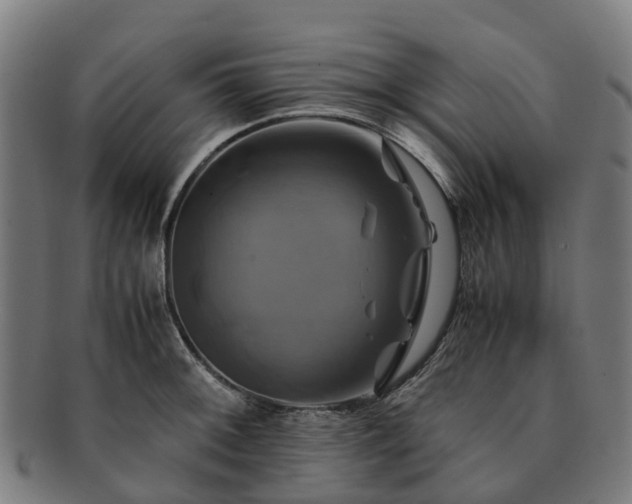 X0000091711092200708311110