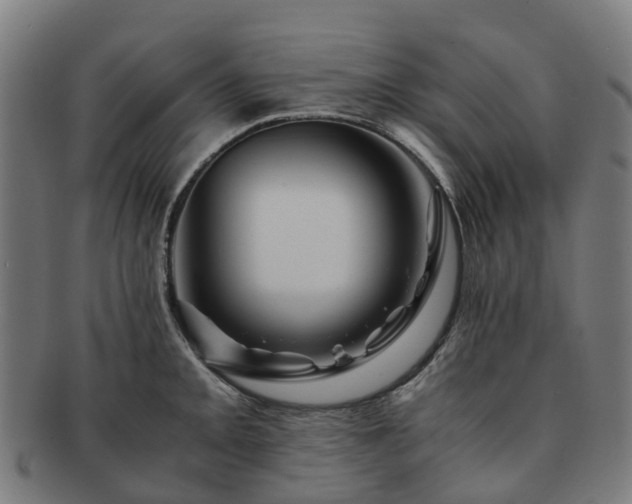 X0000091711093200708311110