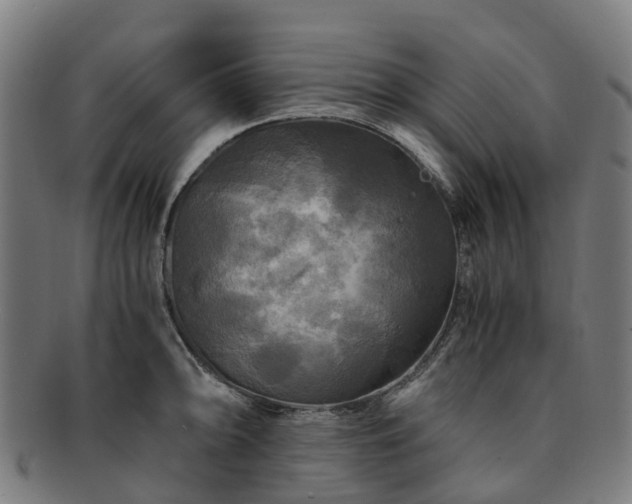 X0000091711094200708311110