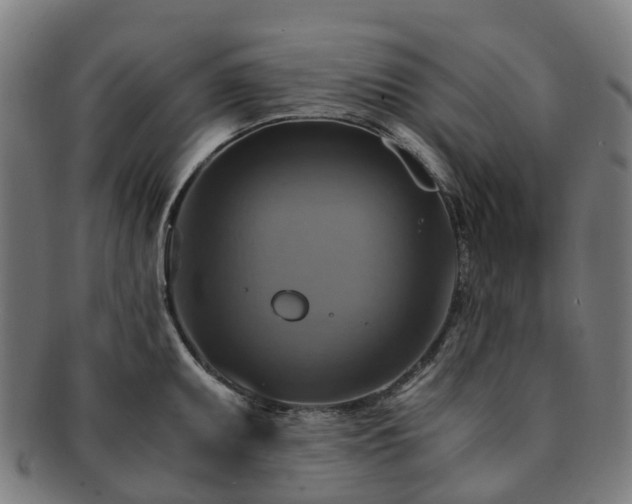 X0000091711095200708311110