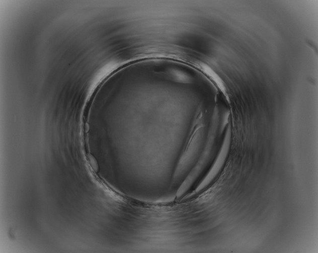 X0000091711096200708311110