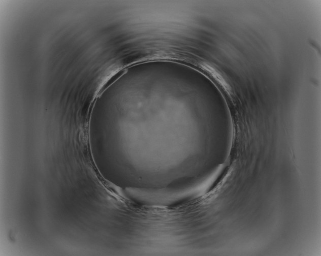 X0000091711097200708311110