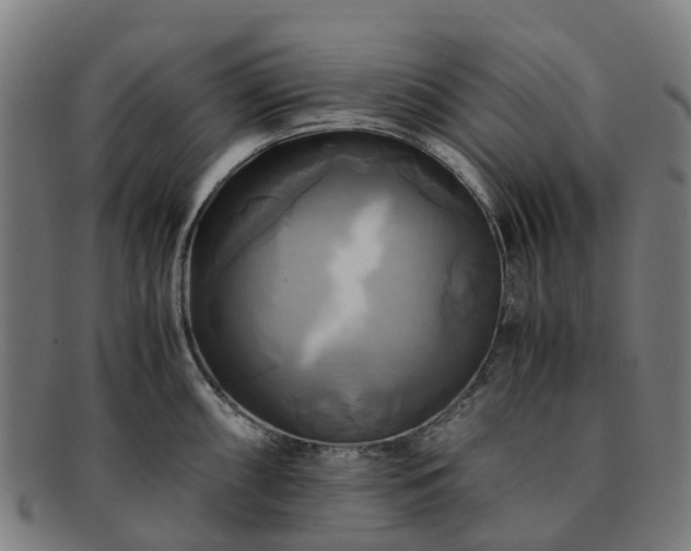 X0000091711098200708311110