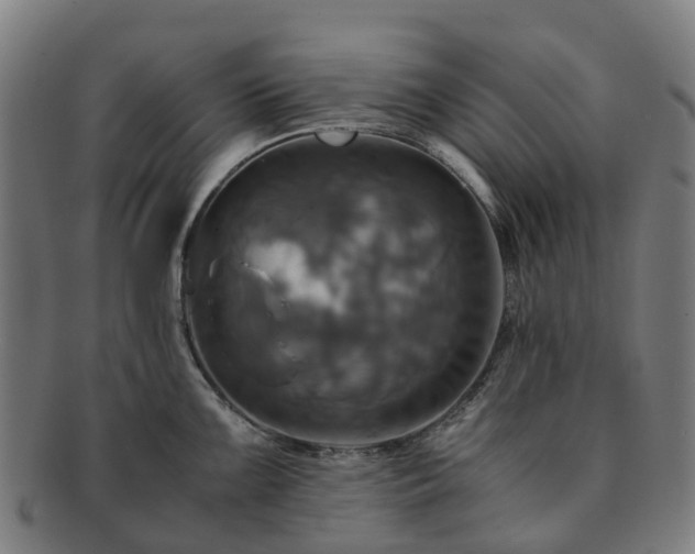 X0000091711099200708311110