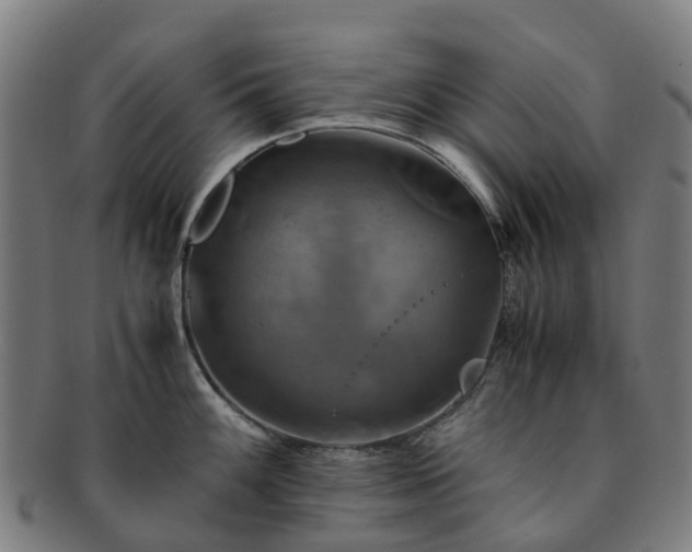 X0000091711100200708311110