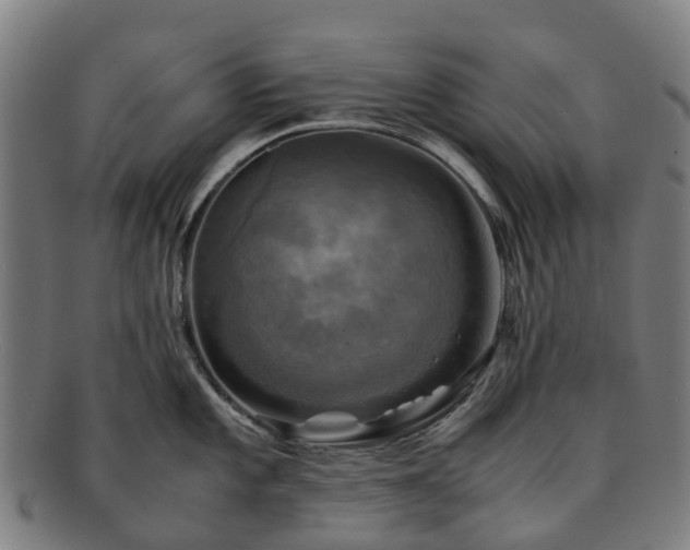 X0000091711101200708311110