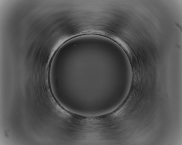 X0000091711102200708311110