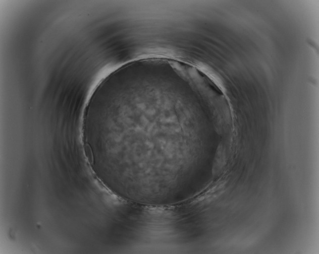 X0000091711104200708311110