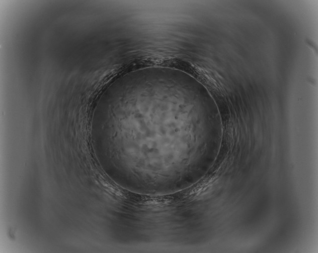 X0000091711105200708311110