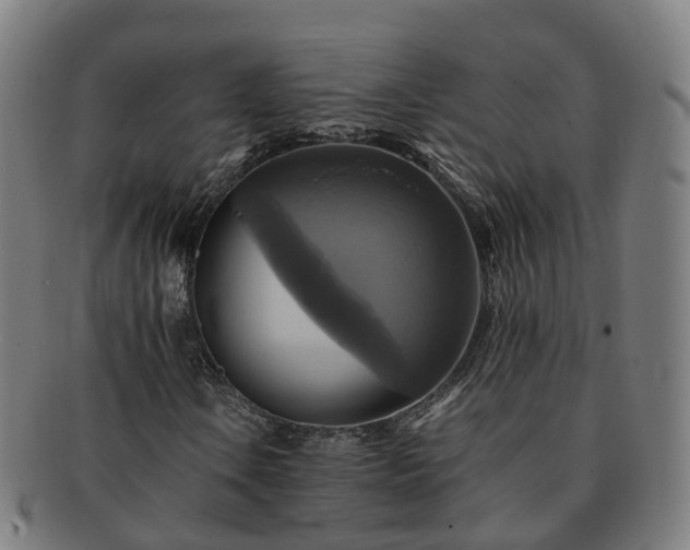 X0000091711106200708311110