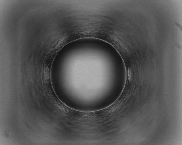 X0000091711107200708311110