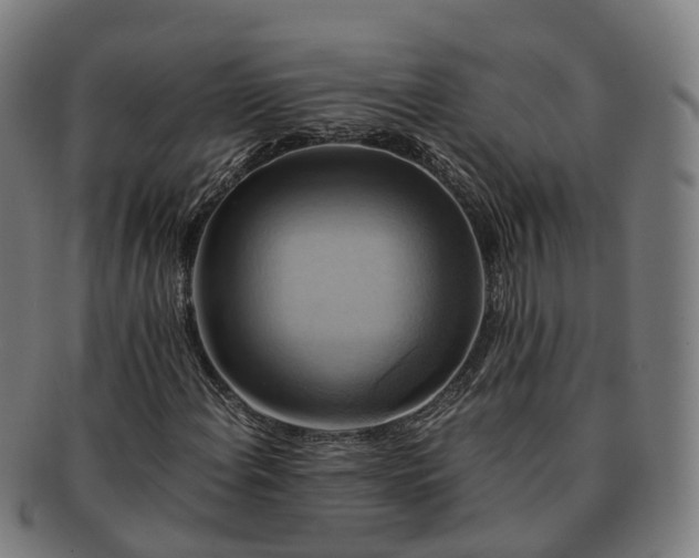 X0000091711108200708311110